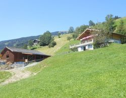 Welcoming Apartment in Hollersbach im Pinzgau near Ski Area Dış Mekan