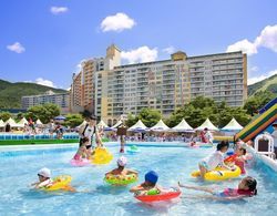 Welli Hilli Park(Ex. Hyundai Sungwoo Resort) Havuz
