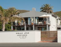 Whale Away Guest House Dış Mekan