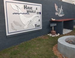 Whale Watch Accommodation Dış Mekan