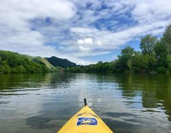 Whanganui River Top 10 Holiday Park Genel