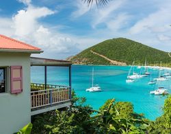 White Bay Villas in the British Virgin Islands Öne Çıkan Resim