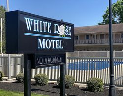 White Rose Motel - Hershey Dış Mekan