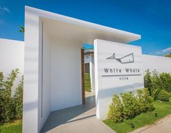 White Whale Beachfront Pool Villa Dış Mekan