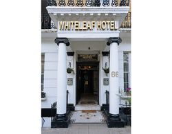 Whiteleaf Hotel Genel
