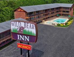 Wild Bear Inn Genel