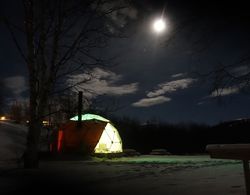 Wild Caribou Dome & Wilderness Cabin Öne Çıkan Resim