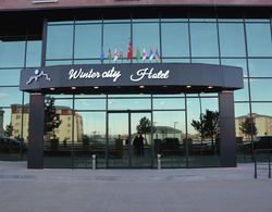 Winter City Hotel Genel