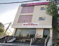 Hotel Wisteria Dış Mekan