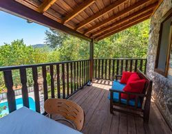 Villa With Pool Surrounded by Nature in Fethiye Oda