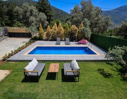 Villa With Private Pool Surrounded by Olive Trees Oda