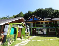 Wonju Chiak Mountain Club Pension Dış Mekan