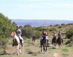 Woodbury Lodge - Amakhala Game Reserve Genel