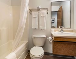 WoodSpring Suites Abilene Banyo Tipleri