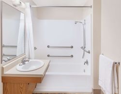 WoodSpring Suites Ankeny Des Moines Banyo Tipleri