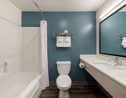 WoodSpring Suites Greensboro - High Point North Banyo Tipleri