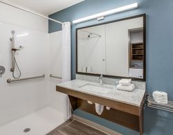 WoodSpring Suites Smyrna-La Vergne Banyo Tipleri