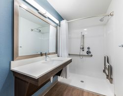 WoodSpring Suites Tampa Airport North Veterans Expressway Banyo Tipleri