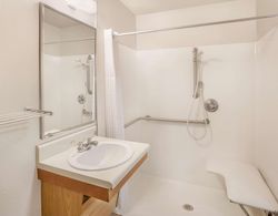 WoodSpring Suites Tyler Rose Garden Banyo Tipleri