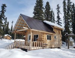 Wrangell Mountains Wilderness Lodge Dış Mekan