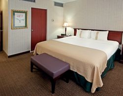 Wyndham Houston - Medical Center Hotel and Suites Oda