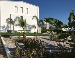 Xenos Villa 4 - Luxury Villa With Private Swimming Pool Near The Sea Dış Mekan