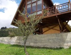 Yayla Bungalov Hotel Genel