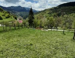 Yayla Bungalov Hotel Genel