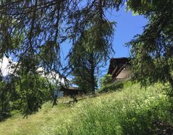 Youth Hostel Grindelwald Dış Mekan