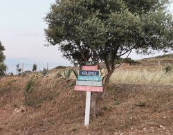 Zeus Kır Evi Dış Mekan