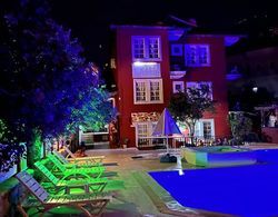 Otel Zeytindalı Genel