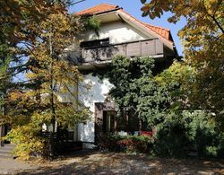 Villa Zosieńka Dış Mekan