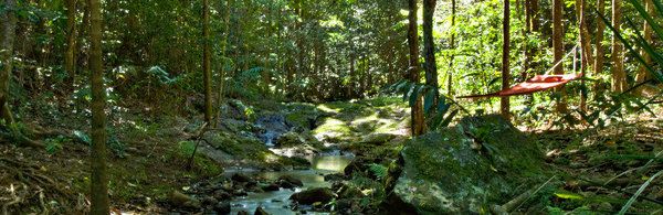 Narrows Escape Rainforest Retreat Genel