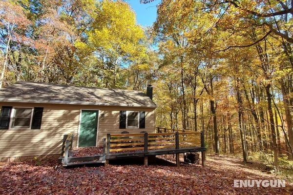 A Humble Abode Cabin - A Modern Woodsy Retreat Öne Çıkan Resim