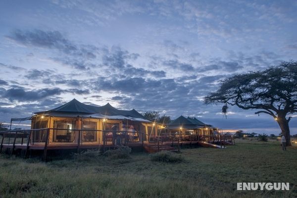 Acacia Seronera Luxury Camp Öne Çıkan Resim