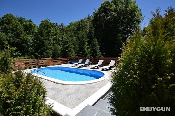 Adorable Home With Pool & Hot Tub Surrounded by Beautiful Nature Öne Çıkan Resim