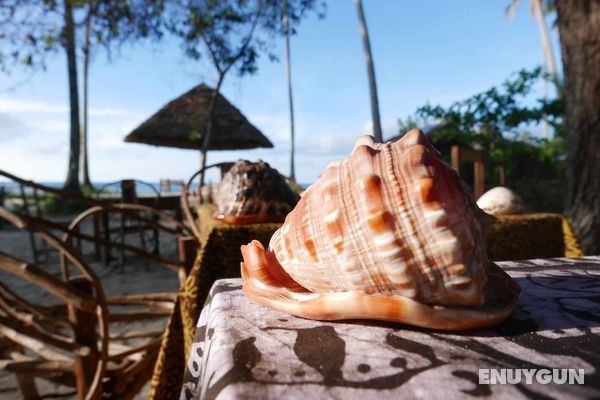 Afro Beach Bungalows Dış Mekan