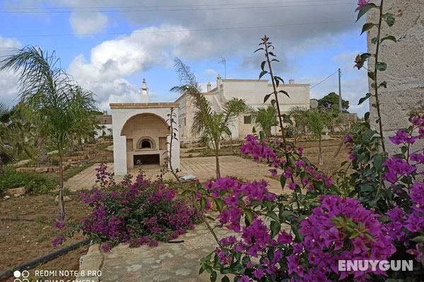 Agriturismo Mascava di Torre Guaceto Öne Çıkan Resim