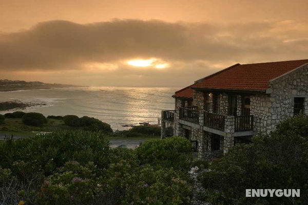 Agulhas Country Lodge Genel