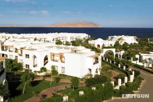 Albatros Palace Resort Sharm El Sheikh Genel