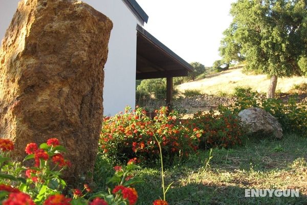 Alghero Rural Relax Private Comfort Exclusive Villa Laurus Dış Mekan