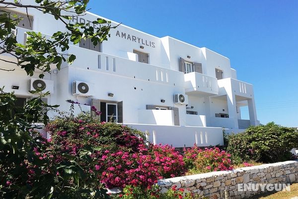 Amaryllis Beach Hotel Genel