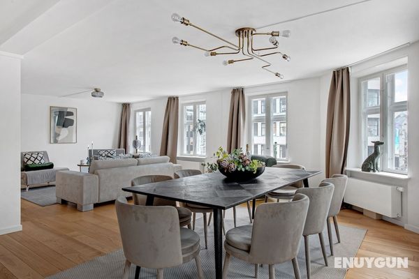 Amazing and Spacious Apartment Right in the Middle of Copenhagen All Yours Öne Çıkan Resim