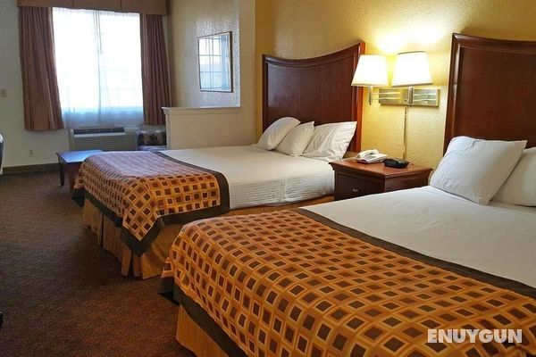 Americas Best Value Inn & Suites-Fort Worth South Genel
