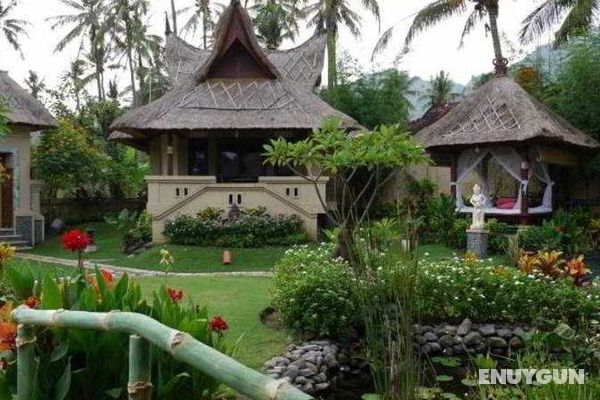 Amertha Bali Villas Genel