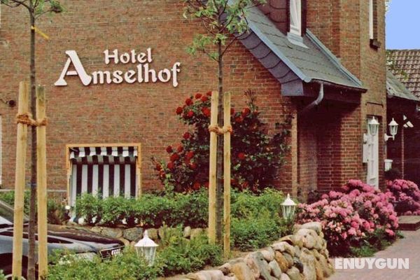 Hotel Amselhof Genel