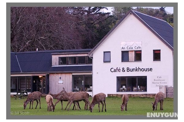 An Cala Cafe and Bunkhouse Öne Çıkan Resim