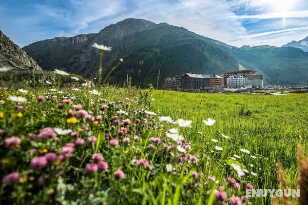 Andermatt Alpine Apartments Andermatt Öne Çıkan Resim