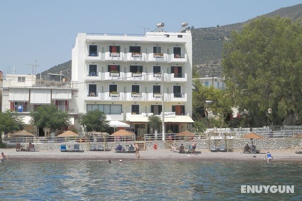 Hotel Apollon Öne Çıkan Resim