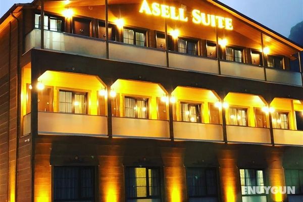 Asell Suite Genel